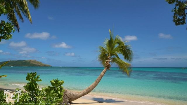 “Blue Lagoon Vista” 4K 2 Hour Nature Scene： Tropical Beach, Palm Tree, Blue Sky & White Sand - F смотреть онлайн