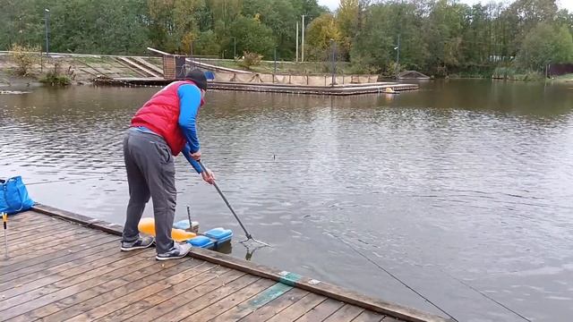 форель на пасту смотреть онлайн