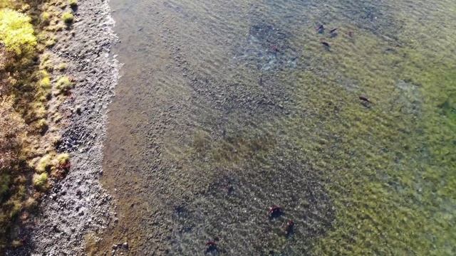 Чукотка смотреть онлайн