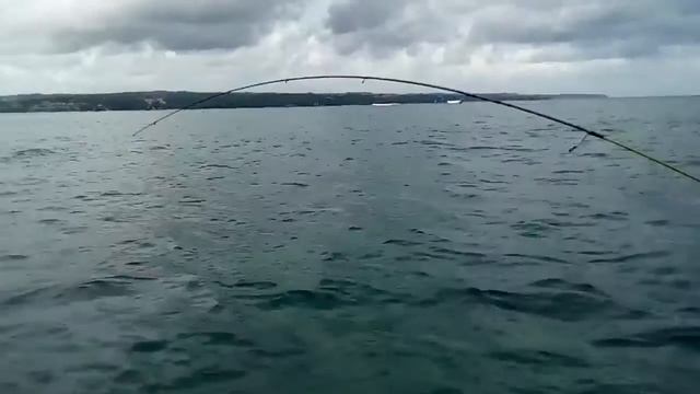 Major craft finetail 662 sul 3lb смотреть онлайн