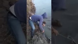 Ромарио Агро