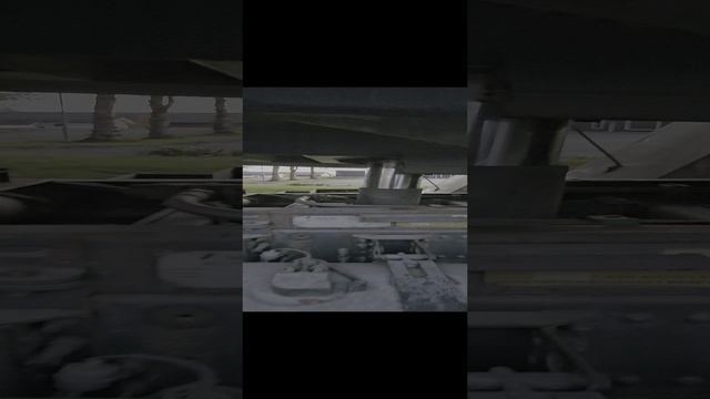 Мужской ствол смотреть онлайн