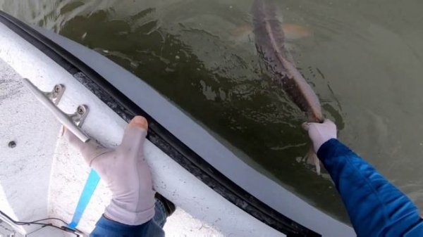 Drift Fishing The Lower Laguna Madre For Redfish In Rattlesnake Bay.