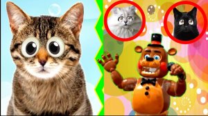 ТАНЦУЙ – чтобы СПАСТИ Кошек!  Фредди Аниматроник стал Крутым ДИДЖЕЕМ!!! Чика – КОРОЛЬ ТАНЦПОЛА – 2