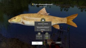 оз. Медвежье УСАЧ ТРОФ в Русской Рыбалке 4! РР4