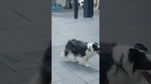 Уличная мода в Шанхае: настоящая уличная мода китайских девушек и парней