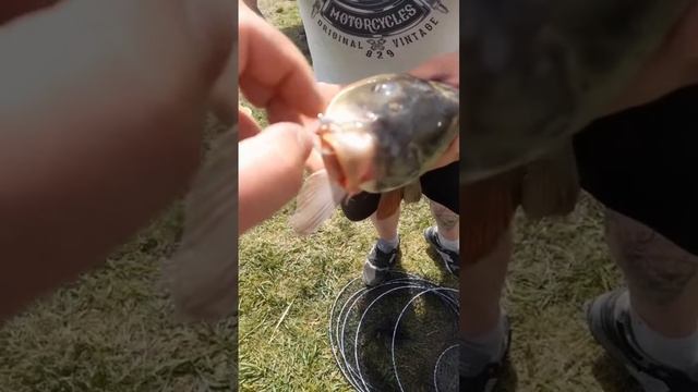 Акция 🔥 база «Карповик» смотреть онлайн