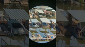 Бинокль CARL ZEISS JENA//JENOPTEM 7x50w#бинокль#карлцейсс#оптика