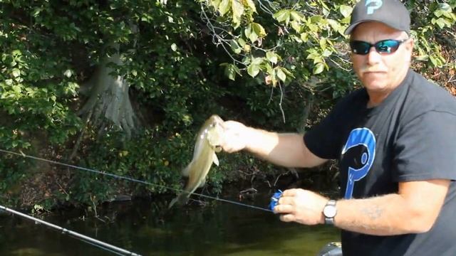 Fall Bass Fishing With Crankbaits And Jigs -Transition смотреть онлайн
