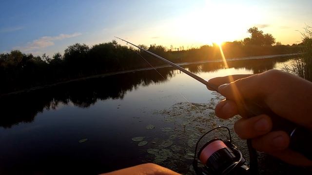 Микроджиг Gamakatsu Hana 69, Shimano 19'Vanquish c2000sss, Daiwa Gekkabijin II PE 0.15 смотреть онлайн