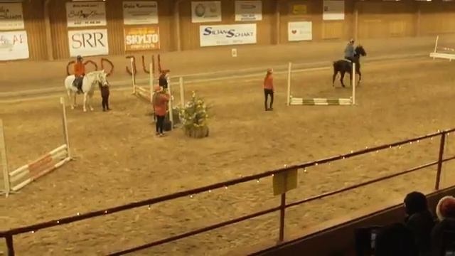 Julius och Björnhjälpen delmål 1, 10 000kr Hästhoppning inför publik смотреть онлайн