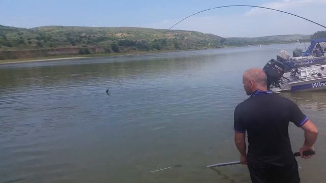 Фидер Zemex рампедж и АМУРЧИК