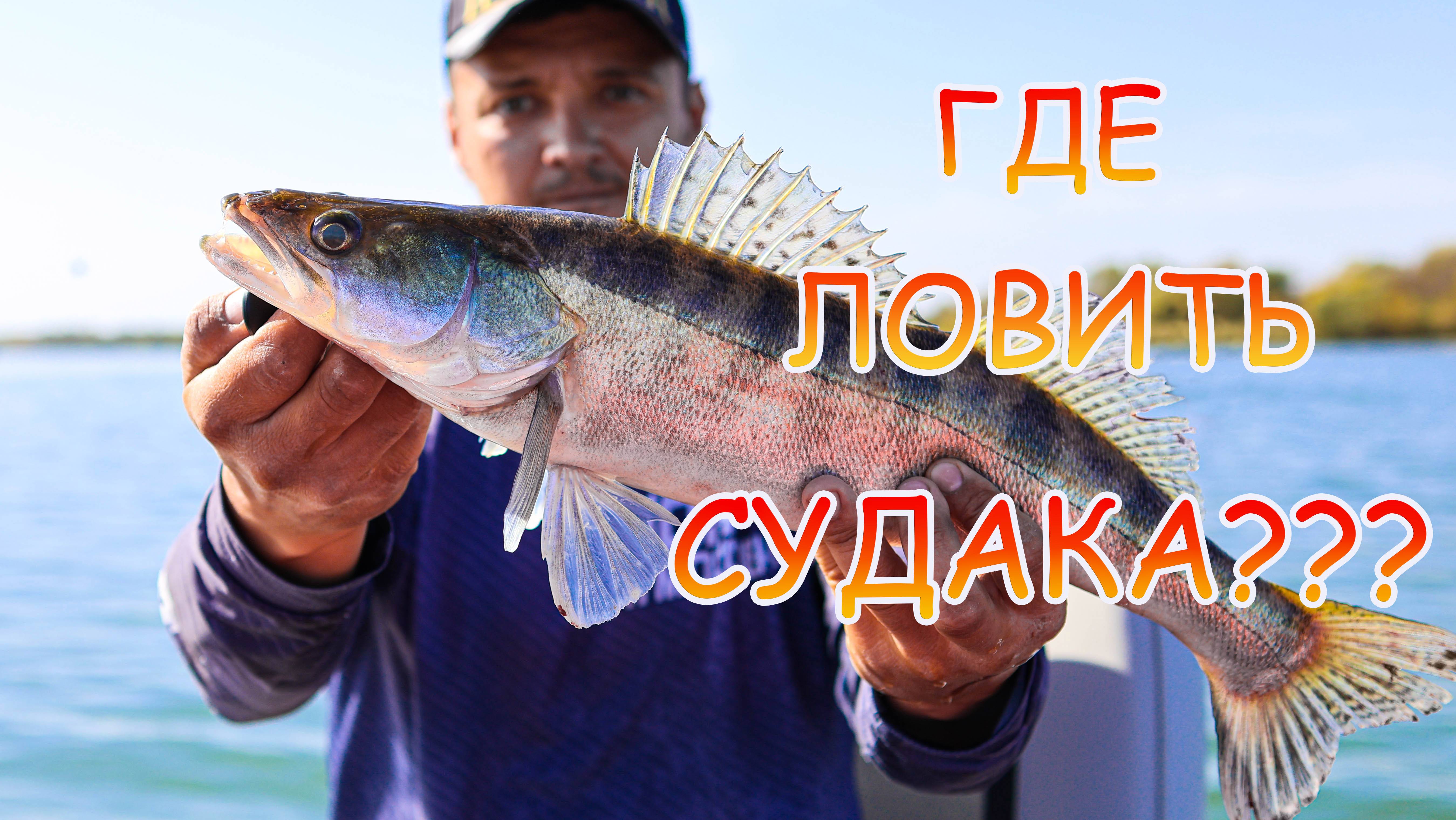 Поиск судака на Дону! Джиг с лодки💪Где искать хищника? Как выбрать точку ловли! Отличная рыбалка👍 смотреть онлайн