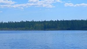 Охота на турпана в Якутии только выстрелы