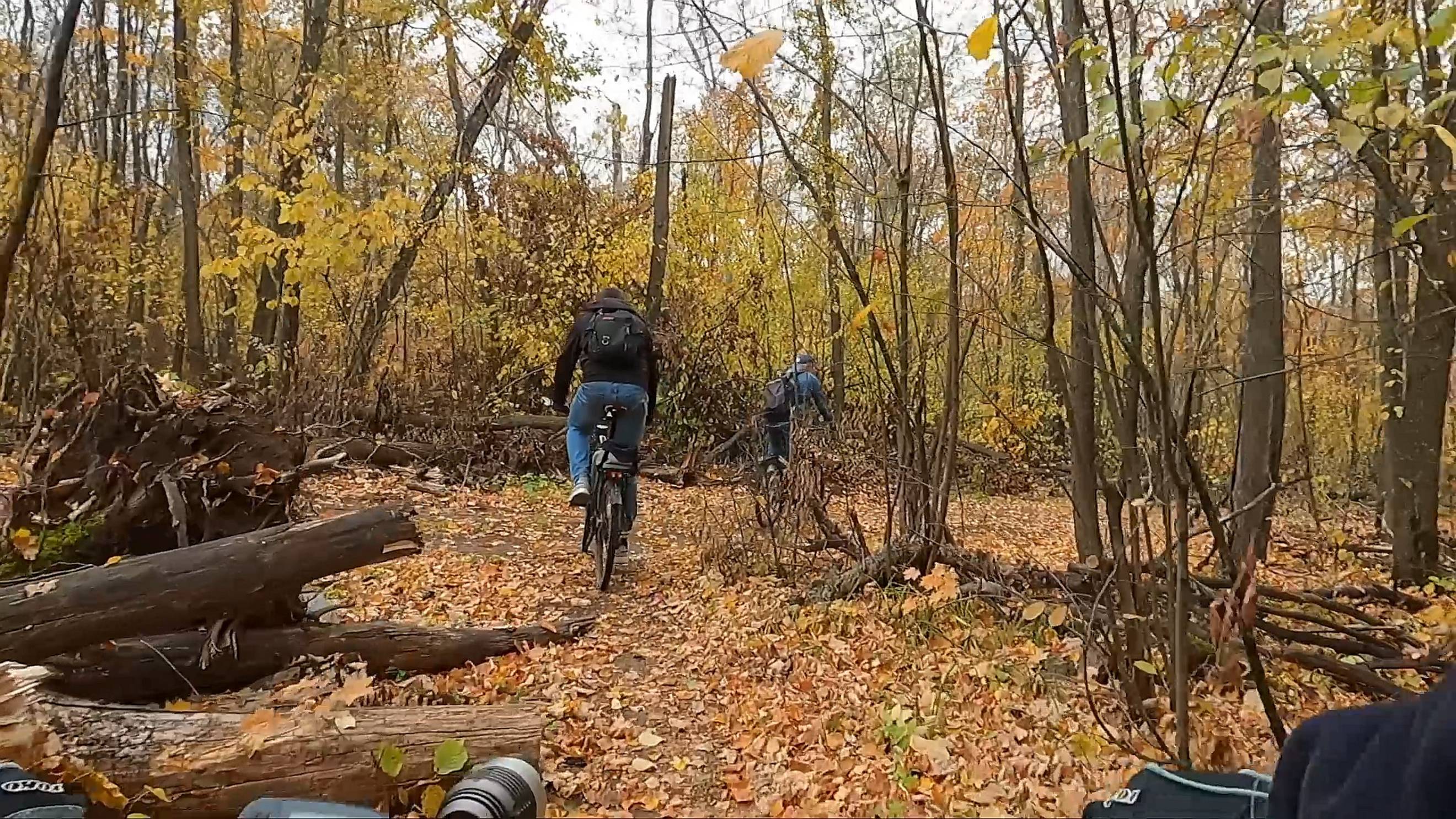 Осень в Сокольих горах (6.10.2024) смотреть онлайн