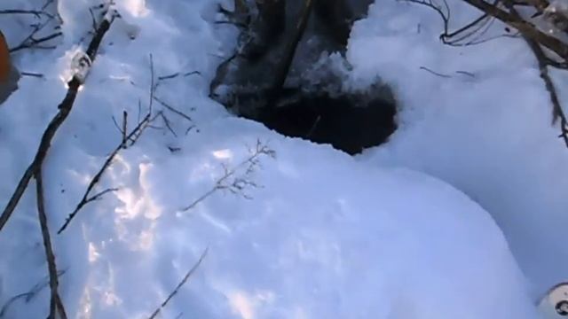 Охота на бобра 2016 смотреть онлайн