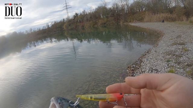 Topwater Action With DUO Bay Ruf Manic