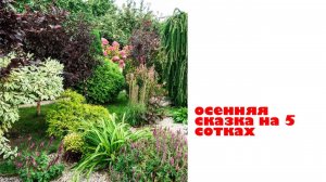 СКАЗКА на 5 сотках / ОСЕНЬ