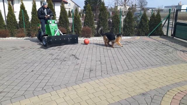 Podgarniacz paszy Hulk (rozgrywki piłkarskie) смотреть онлайн