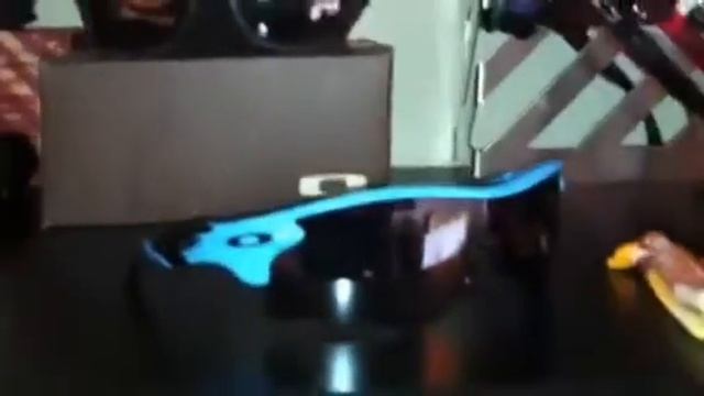 Oakley Collection Display