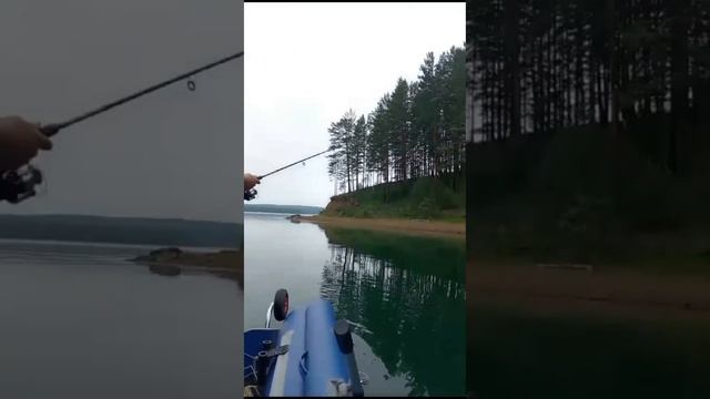 Научил ЖЕНУ рыбачить,вся РЫБА будет наша!/СОСИСОНЫ на перекус/Рыбалка с женой на лодке ПВХ смотреть онлайн