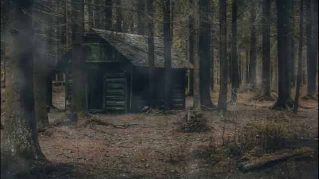 Лесник смотреть онлайн