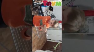 Конец вещания Мульт начало вещания Тлум НД