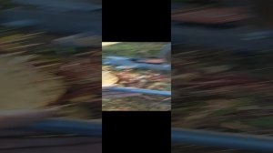 Мицубиси паджеро спорт 3 замена стартера дизель