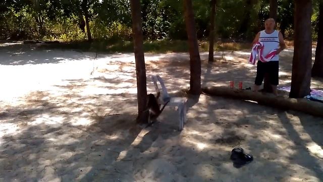 Обезьяна на пляже пристает к туристам и не дает спокойно отдыхать! Остров Лангкави. Малайзия. смотреть онлайн