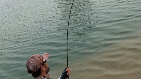 Shimano Vanford 1000 x Yamaga Blanks Blue Current 77 TZ/Nano Stream Special