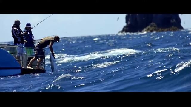 Daiwa Presents Brand New 2015 Saltiga Reel In Action смотреть онлайн