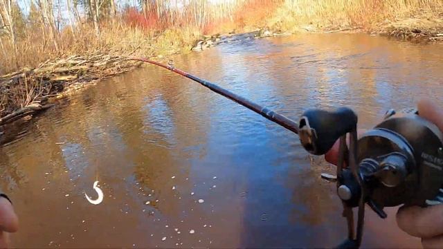 Fishman Beams Sierra 5.2UL сам отпустил рыбу )) смотреть онлайн