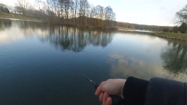 Что может спиннинг для твичинга. Zetrix Azura 682ML.