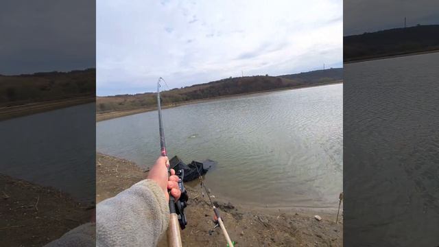 Drill pe Balta Valea Ciorii - noiembrie 2019 Daiwa Ninja X Feeder смотреть онлайн