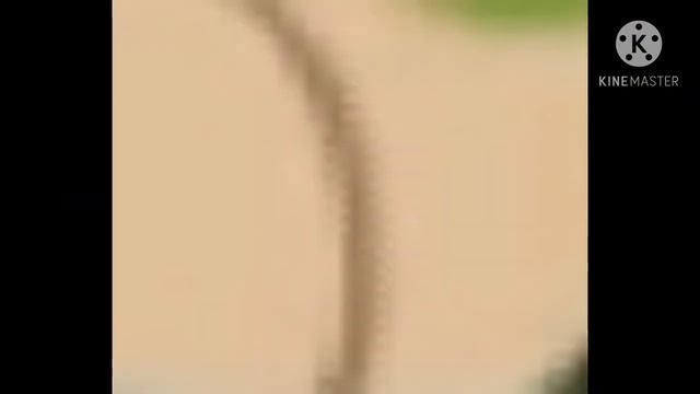 попа смотреть онлайн