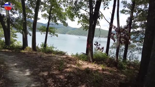 August 15, 2024 смотреть онлайн