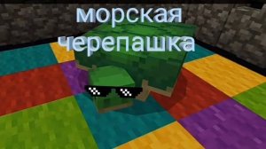 МОРСКАЯ ЧЕРЕПАШКА ПЕСНЯ