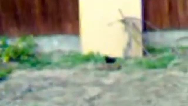 Тест падающей мишени смотреть онлайн