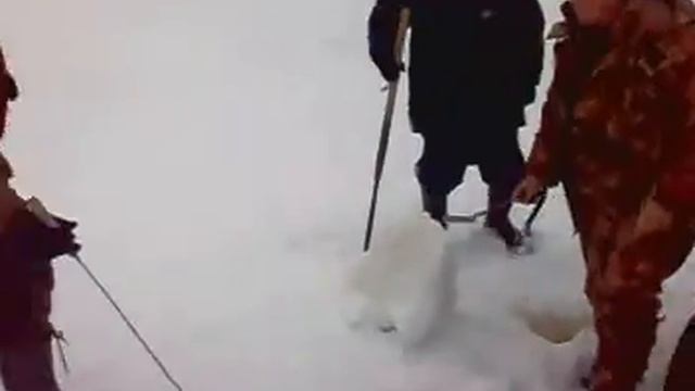 20100320.mp4 смотреть онлайн