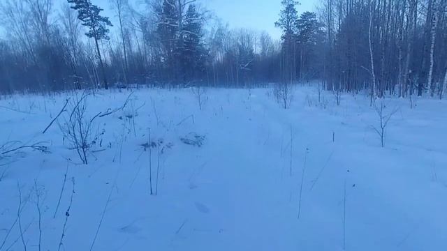 Косач вылетает с ночной лунки. смотреть онлайн