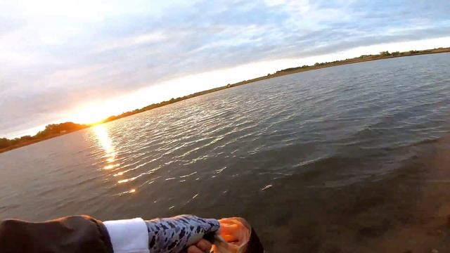 *NEW* MFer & Divine rod. Diawa Coastal reel. Fall transition смотреть онлайн