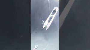 Привязка Омулёвого настроя