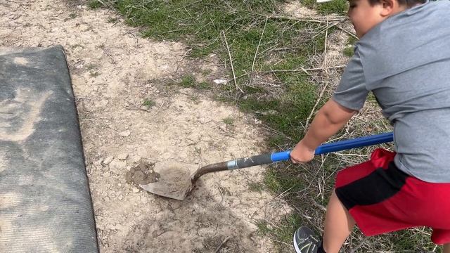 Worst chore EVER! YUCK! смотреть онлайн