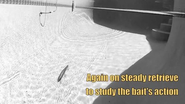 TackleTour Video - Exploring the Megabass Vision 110 Ripbait Variants