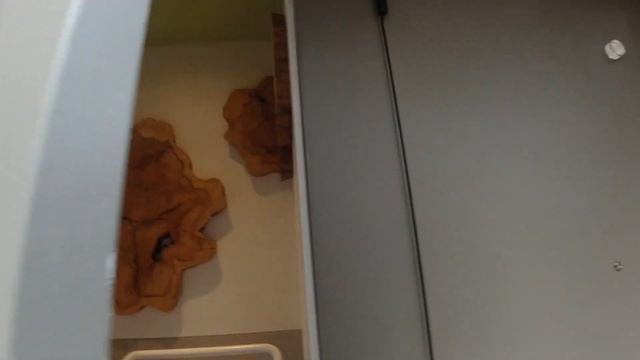 Kengo Kuma's Tokyo Toilet and NIGO's смотреть онлайн