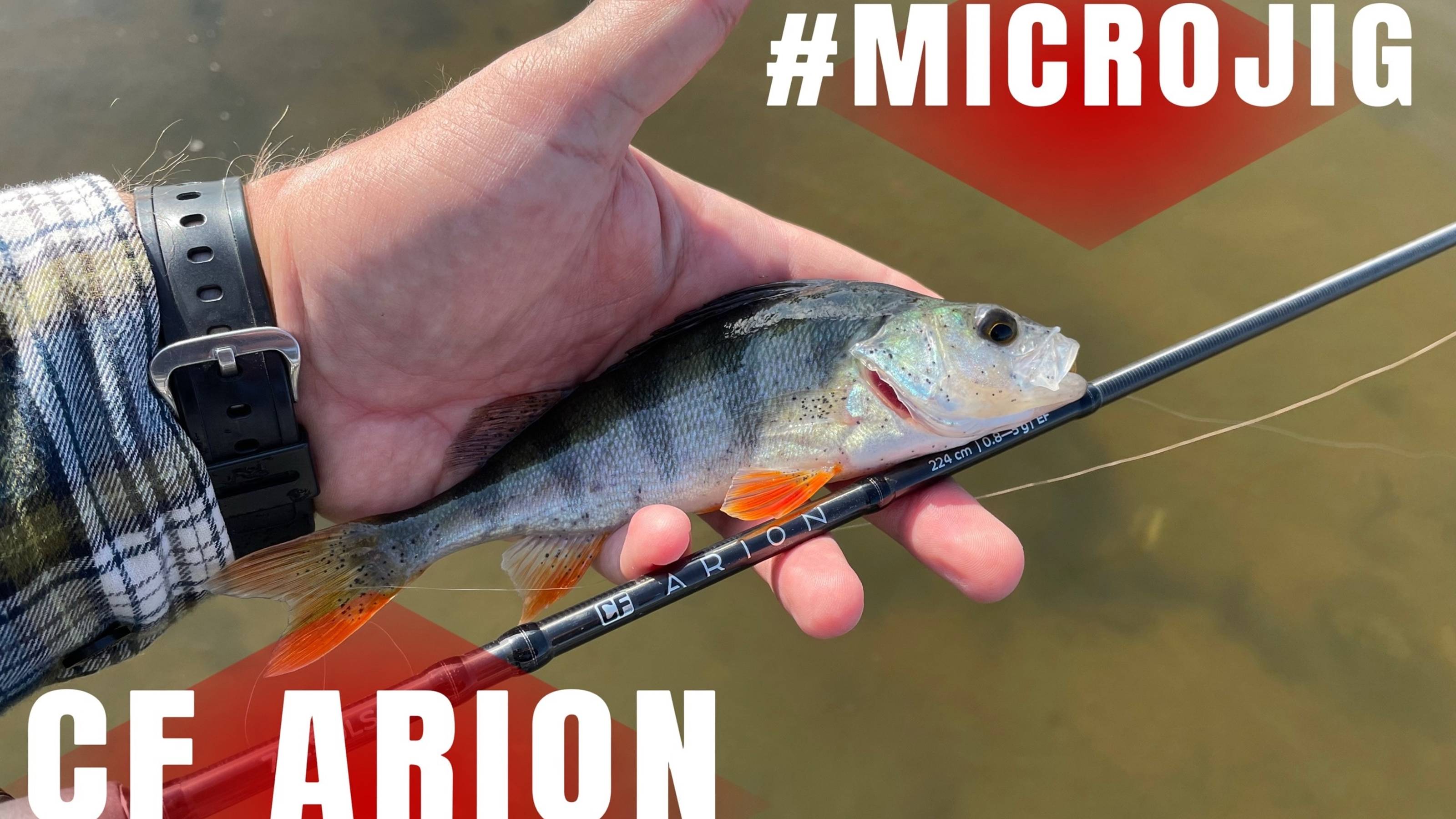 С УЛЬТРАЛАЙТОМ ПО ВОЛГЕ | CF ARION 742SULS | МИКРОДЖИГ ВЫРУЧАЕТ ВСЕГДА