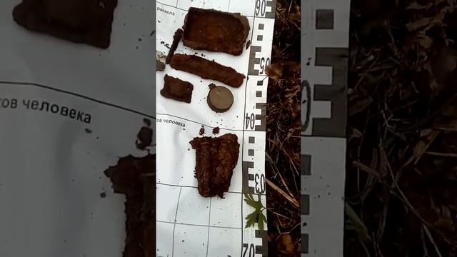 Два бойца, найденные Владом смотреть онлайн