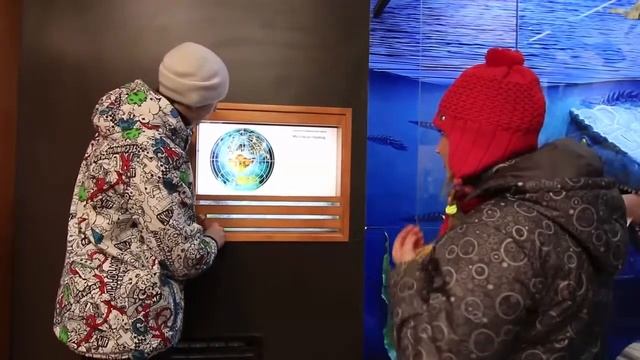 Путешествие по Хвалынску,Зоопарк,Солнечная поляна,Святой Родник смотреть онлайн