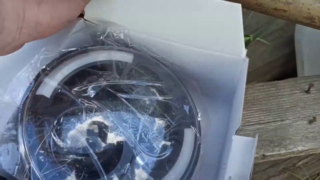 Очковый бандит