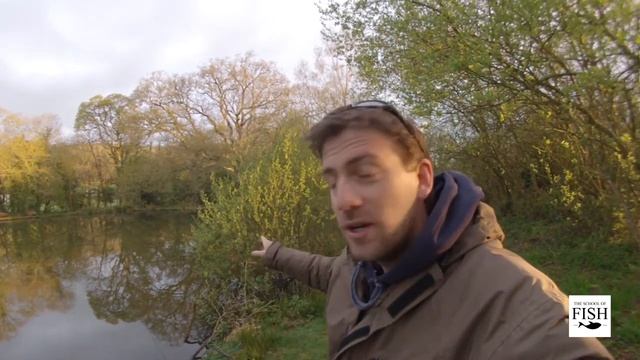 How do I catch Crucian Carp? - The School Of Fish смотреть онлайн